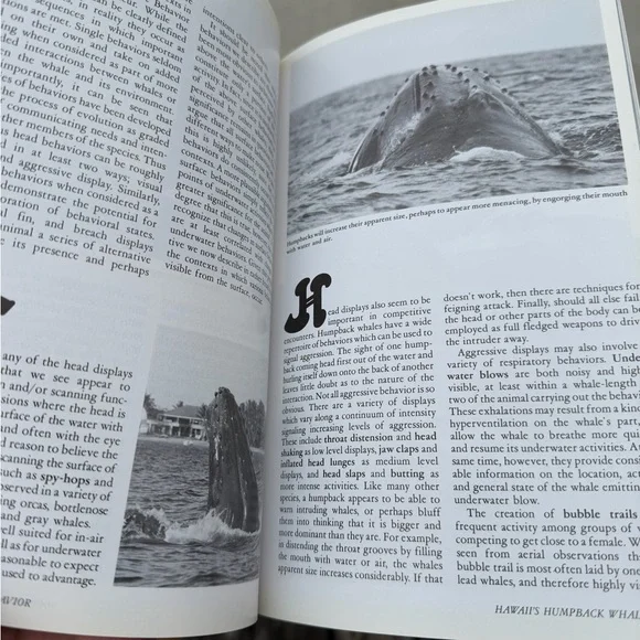 Book Hawaii’s Humpback Whales A Complete Whalewatchers Guide Softcover - Picture 13 of 13